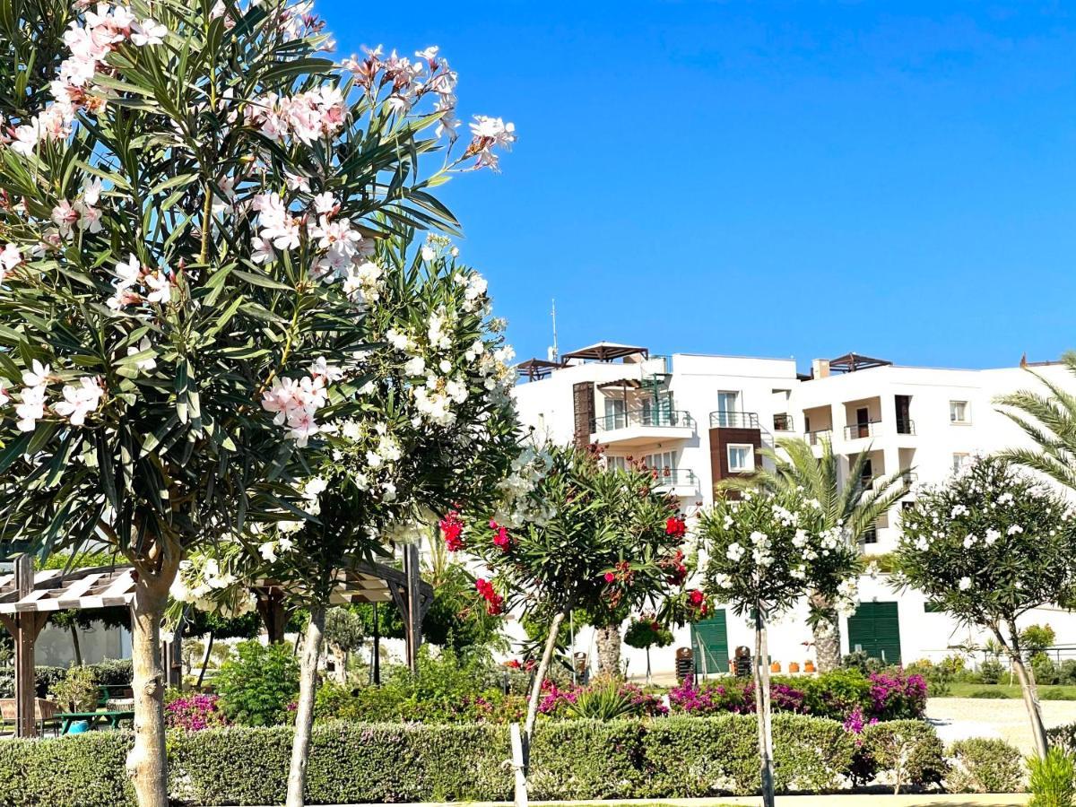 Relaxing Penthouse Suites By The Sea Vokolidha Bagian luar foto