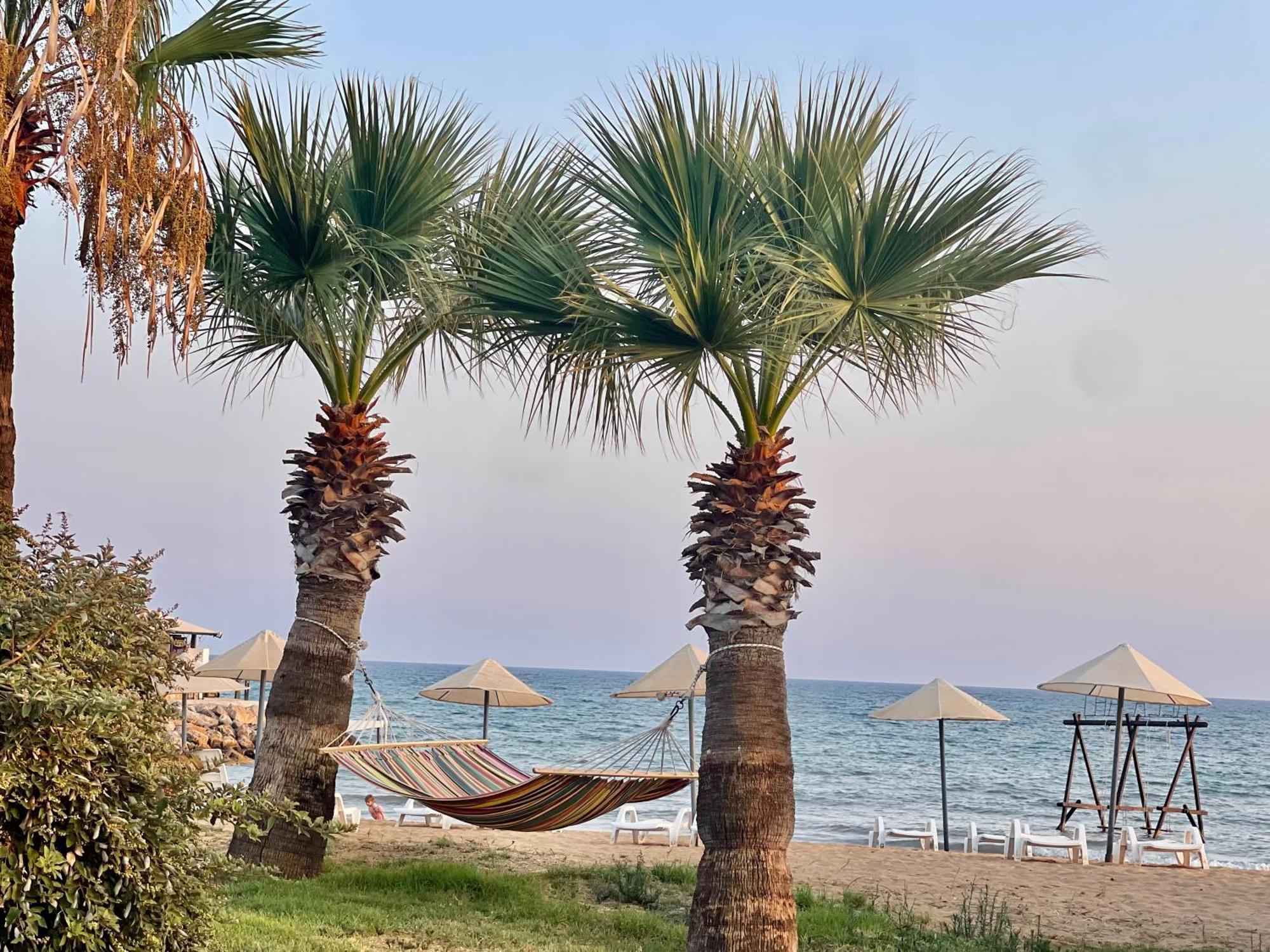 Relaxing Penthouse Suites By The Sea Vokolidha Bagian luar foto